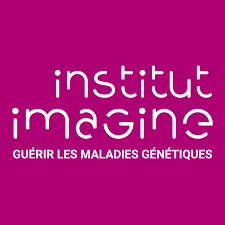 Institut Imagine